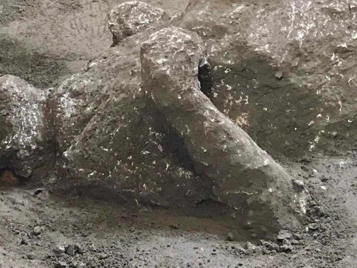 Nachbildungen top von Arztinstrumenten aus Pompeji und Herculancum