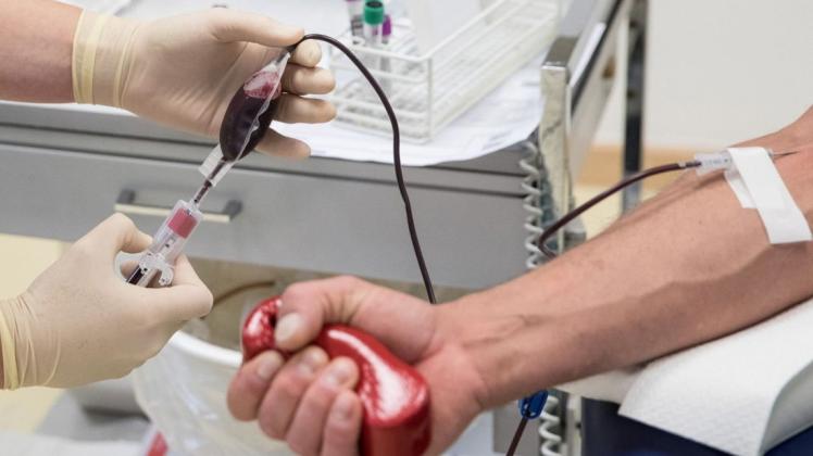 Eine Mitarbeiterin entnimmt einem Spender Blut.