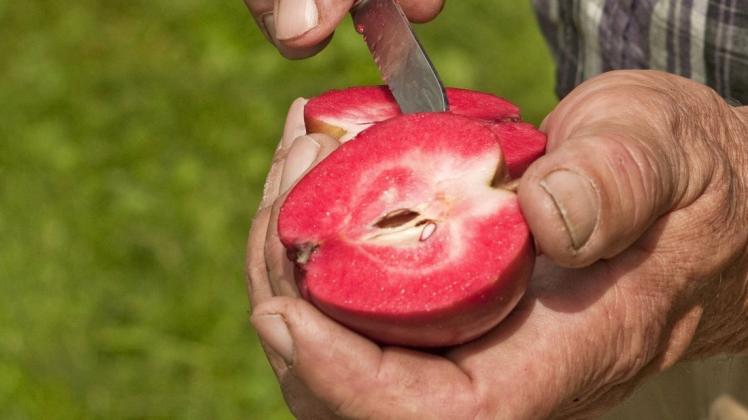 Hingucker: ein halbierter Apfel einer alten rotfleischigen Sorte.