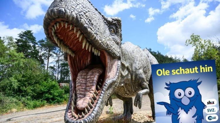 Ungefähr 66 Millionen Jahre ist es her, dass die Dinosaurier auf der Erde lebten. Diese Statue eines Tyrannosaurus Rex steht im Dino-Park Münchehagen.