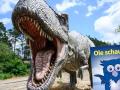 Ungefähr 66 Millionen Jahre ist es her, dass die Dinosaurier auf der Erde lebten. Diese Statue eines Tyrannosaurus Rex steht im Dino-Park Münchehagen.