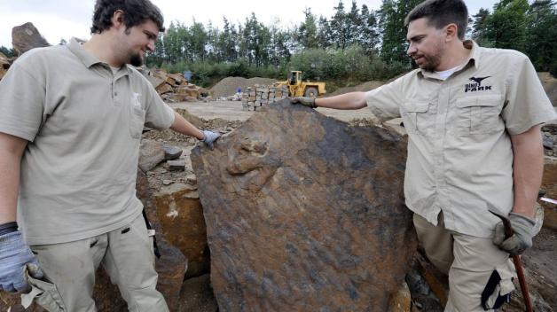 Harte Arbeit: Paläontologe Oliver Wings und Nils Knötschke vom Dino-Park Münchehagen untersuchen den Fußabdruck eines Allosaurus. Harte Arbeit: Paläontologe Oliver Wings und Nils Knötschke vom Dino-Park Münchehagen untersuchen den Fußabdruck eines Allosaurus.