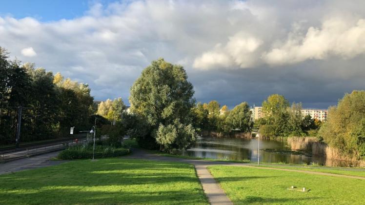 Die Fuß- und Radwege rund um den Teich am Friedensforum in Toitenwinkel werden saniert. Das Bürgerprojekt bekam die meisten Stimmen der Anwohner. Die Fuß- und Radwege rund um den Teich am Friedensforum in Toitenwinkel werden saniert. Das Bürgerprojekt bekam die meisten Stimmen der Anwohner.