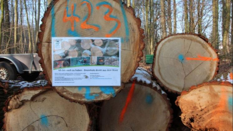 Die Forstämter bereiten sich gerade auf die bevorstehende Brennholzsaison vor. Bestellungen nehmen die Förstereien bereits an.