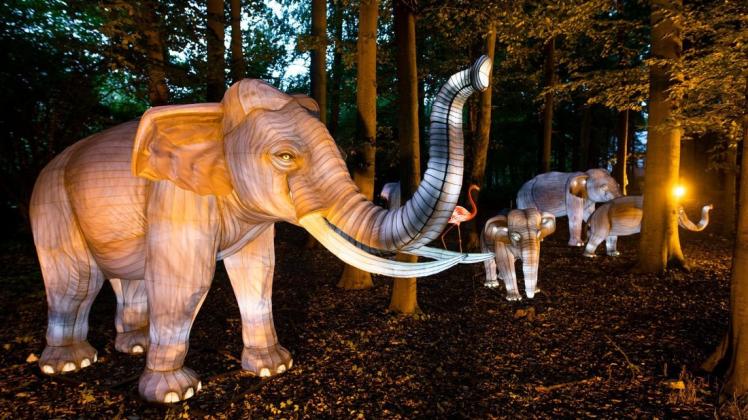 Sind auch im November zu sehen: Die tierischen Leuchtskulpturen im Zoo Osnabrück.