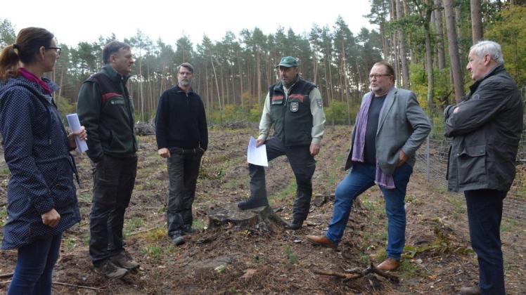 Aufforstung nach Sturm "Xavier": Revierförster Wolfgang Mundt (3.v.r.) und Forstamtsleiter Jörg Schröder (2.v.l.) zeigen den Vertretern der Stadt Dömitz "ihren" Wald.