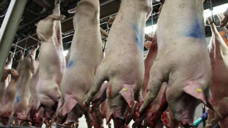 Am Schlachthof Weidemark in Sögel ist aufgrund des Corona-Ausbruchs die Schlachtkapazität auf 60 Prozent, was etwa 10.000 Schweine am Tag sind, reduziert worden.