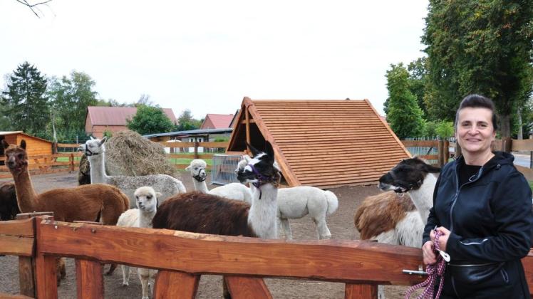 Alpakas eignen sich sehr als Wanderbegleiter und Therapietiere, weiß Zirkusfrau Velicka Köllner inzwischen.