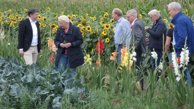 Reihen um Reihen an unterschiedlichen Gemüsesorten: Landwirt Frank Alswede erklärt den CDU-Landtagsabgeordneten die Eigenheiten der einzelnen Pflanzenarten.