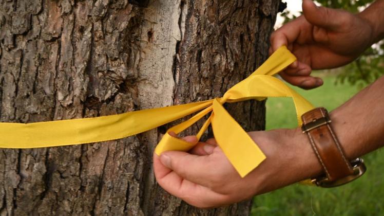 Projekt „Gelbes Band“: Von diesen Obstbäumen und -sträuchern darf jeder ernten. Projekt „Gelbes Band“: Von diesen Obstbäumen und -sträuchern darf jeder ernten.