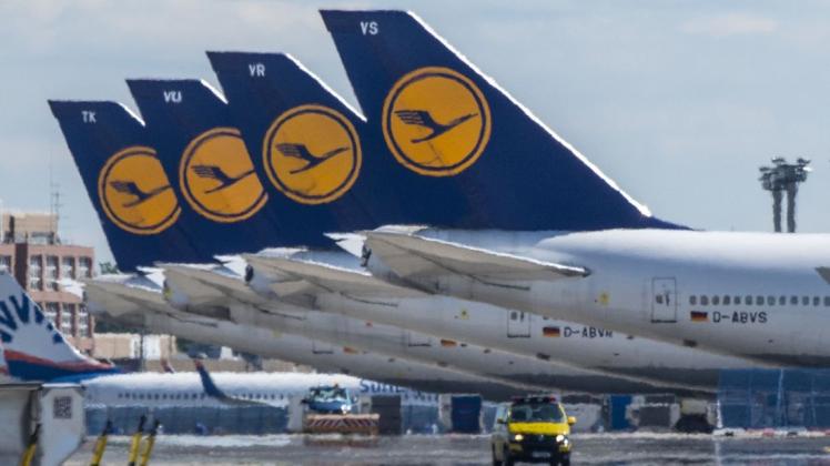 Lufthansa will ab Oktober Flüge nach Johannesburg anbieten. Lufthansa will ab Oktober Flüge nach Johannesburg anbieten.