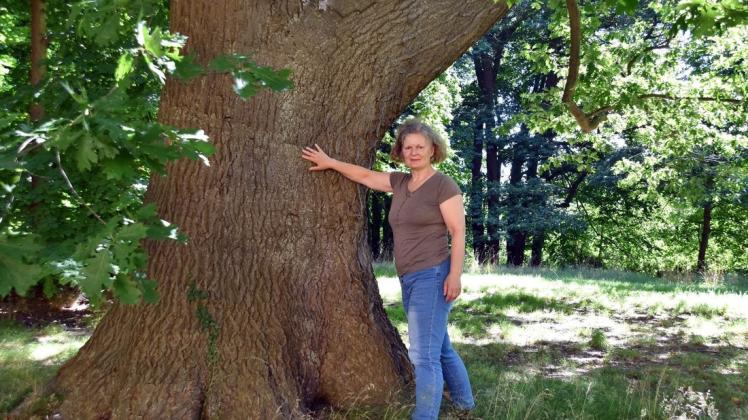 Mit einer alten Eiche am Zentrum für Nervenheilkunde fühlt Waldtherapeutin Daniela Sarcinelli sich besonders verbunden. Mit einer alten Eiche am Zentrum für Nervenheilkunde fühlt Waldtherapeutin Daniela Sarcinelli sich besonders verbunden.