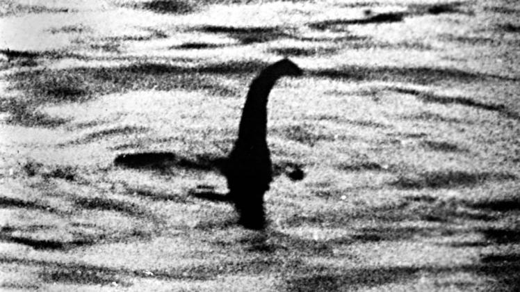 Der Klassiker unter den Fabelwesen: Das Ungeheuer von Loch Ness.