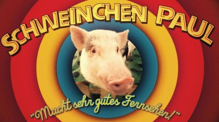 #SchweinVsRTL: Joko und Klaas veralbern das RTL-Sommerhaus.