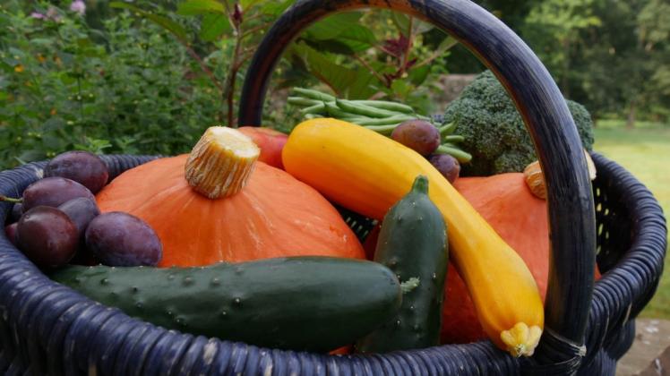 Obst- und Gemüseernte: Selbst aus kleiner Anbaufläche können respektable Erträge kommen.
