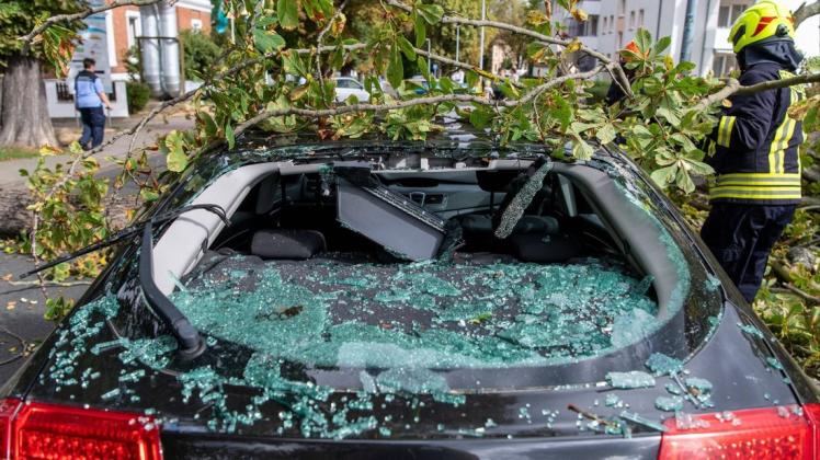 Schäden durch Sturmtief "Kirsten": In Rochlitz im Landkreis Mittelsachsen wurde ein geparkter PKW durch einen herabstürzenden Ast einer Kastanie beschädigt.