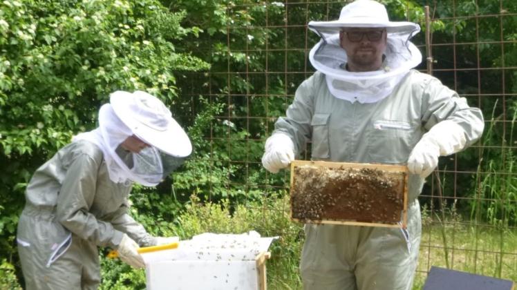 Die Lehrer Anna Winkelmann und André Hinrichs setzen die Bienen im Schulgarten ein.