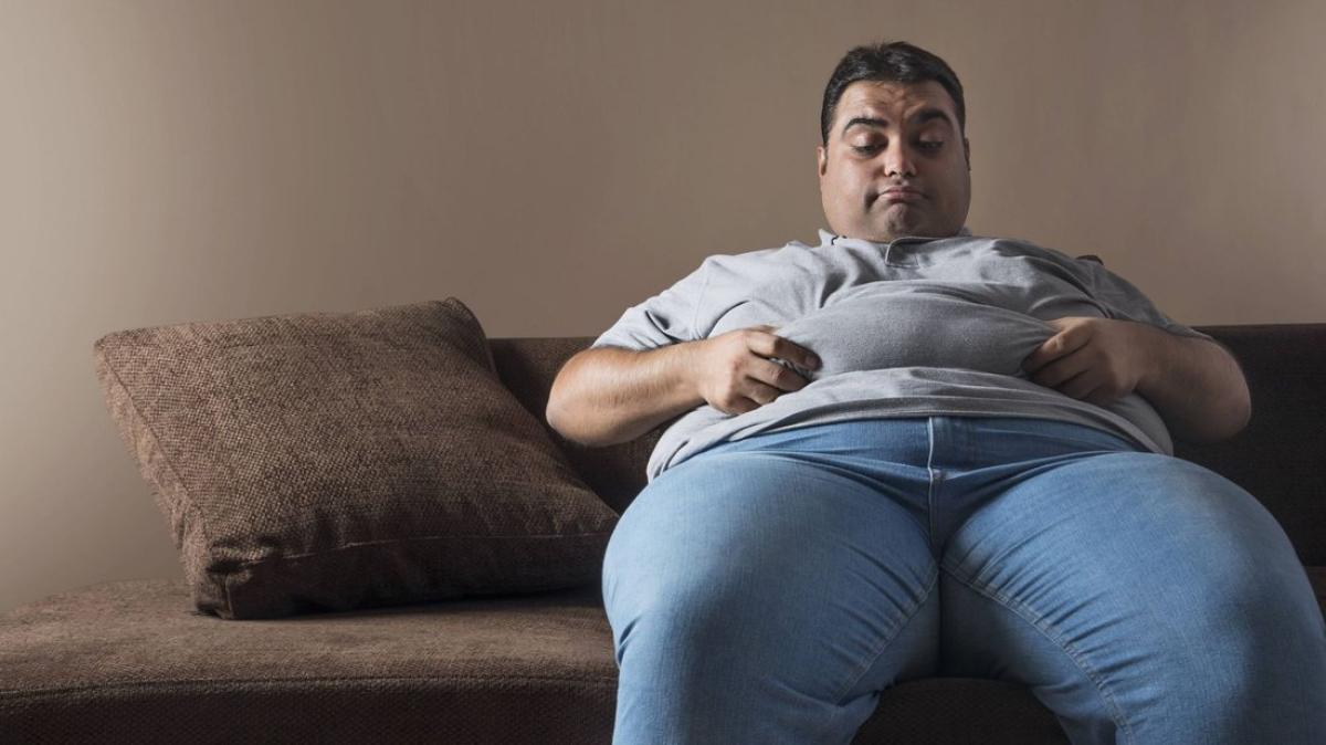 sofa obese people bed