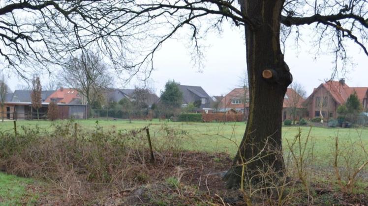 Soll am Bökenbusch in Elmeloh in zweiter Reihe gebaut werden oder nicht? Darüber beraten die Mitglieder des Ausschusses für Gemeindeentwicklung am Donnerstag , 18. Juni.