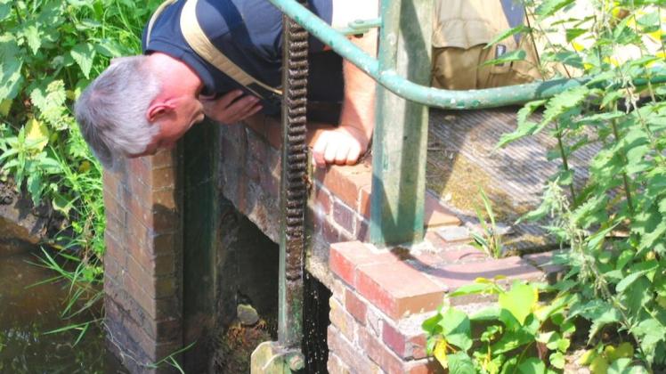 In Höhe der Brücke zur Burginsel war ein kleines Entenküken in einen seitlichen Schacht gefallen. In Höhe der Brücke zur Burginsel war ein kleines Entenküken in einen seitlichen Schacht gefallen.