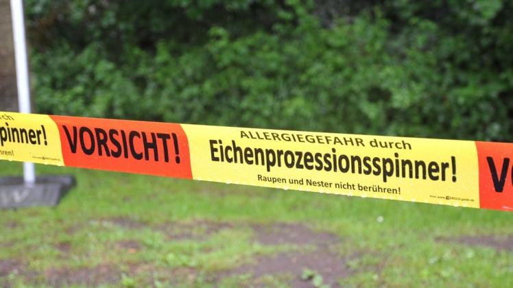 Mit Absperrbändern wie hier zu Wochenbeginn im Papenburger Stadtpark wird vor dem Eichenprozessionsspinner gewarnt.
