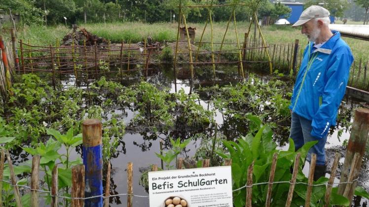 Nach den heftigen Regengüssen am vergangenen Wochenende steht in Befis Naturgarten in Burlage der Gemüsegarten der Grundschüler noch immer unter Wasser. Viel zu retten gibt es dort nicht, meint Theo Lüken, der zweite Vorsitzende des Trägervereins.