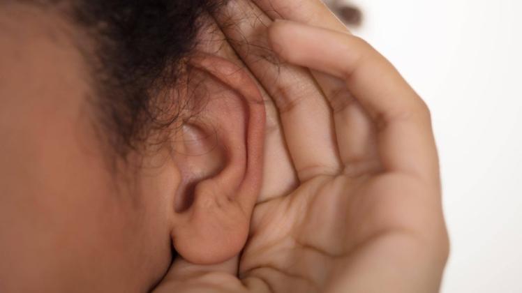 Bei auffälligen Geräuschen bewegt sich das Ohr minimal.