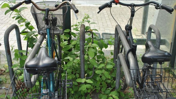 Der Fahrradstand am BBahnhof Heidkrug hat schon bessere Tage gesehen.