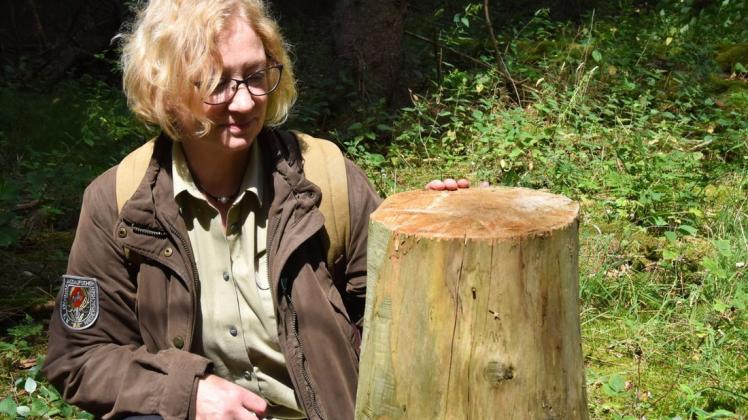 Auf diesem Baumstumpf war einst ein Holzbär fest verankert: Naturpädagogin Heike Kroll vermisst ihren Waldgeist.