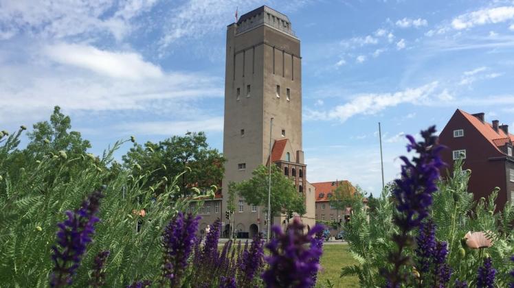 „Durch die Blume gesehen“: Einer der bisherigen Wettbewerbsbeiträge zeigt den Delmenhorster Wasserturm.