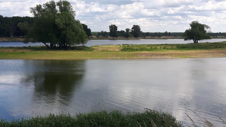 Grün-blaue Grenze zu Polen: Im Oderbruch bei Kienitz sind die Flussufer noch unverbaut.