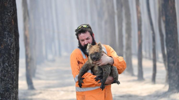 Viele Tiere konnten in Australien nicht vor den Flammen gerettet werden.