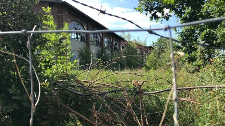 Was wird aus dem alten Bahnareal am Winterweg? Ein Investor will auf dem Gelände im Stadtosten eine Vielzahl an Wohnhäusern aus dem Boden stampfen. Zuvor müssten aber Altlasten entsorgt werden. Was wird aus dem alten Bahnareal am Winterweg? Ein Investor will auf dem Gelände im Stadtosten eine Vielzahl an Wohnhäusern aus dem Boden stampfen. Zuvor müssten aber Altlasten entsorgt werden.