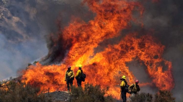 Feuerwehrleute sind bei einem Waldbrand - dem sogenannten "Apple Fire" - im Einsatz.