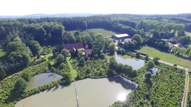 Gemeinde Lotte will AmphibienMassaker am Hagenberg verhindern