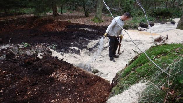 Moorschutz:  Grabenverfüllung mit Sägespänen in einem Wald nördlich von Dobbertin