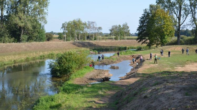 Die neue Uferberme mit Flachwasserzone am Hasealtarm wurde mit Hilfe der Realschüler im letzten Jahr angelegt. Archivfoto: Heiner Beinke