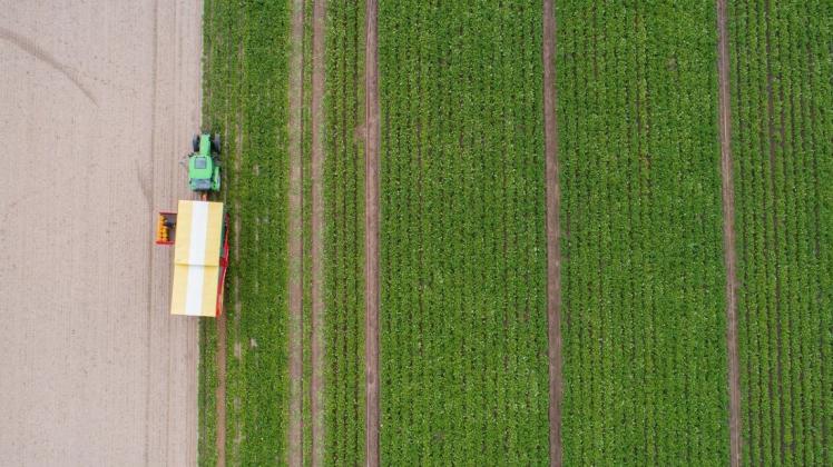 Ein Landwirt erntet Kartoffeln. Foto: Julian Stratenschulte/dpa/Symbolbild Ein Landwirt erntet Kartoffeln. Foto: Julian Stratenschulte/dpa/Symbolbild