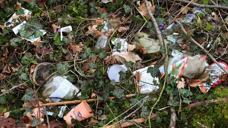 Viele Spaziergänger lassen ihren Müll einfach im Wald liegen. (Symboldbild)