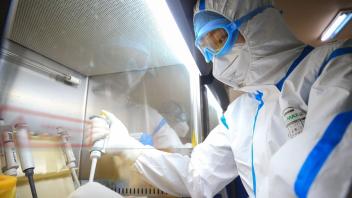 Nicht nur chinesische Wissenschaftler suchen nach Wirkstoffen gegen das neuartige Coronavirus (Foto). Auch hierzulande arbeiten Virologen an Mitteln, die durch Viren verursachte Krankheiten eindämmen können, zum Beispiel an der Tierärztlichen Hochschule Hannover (TiHo). Foto: STR/AFP