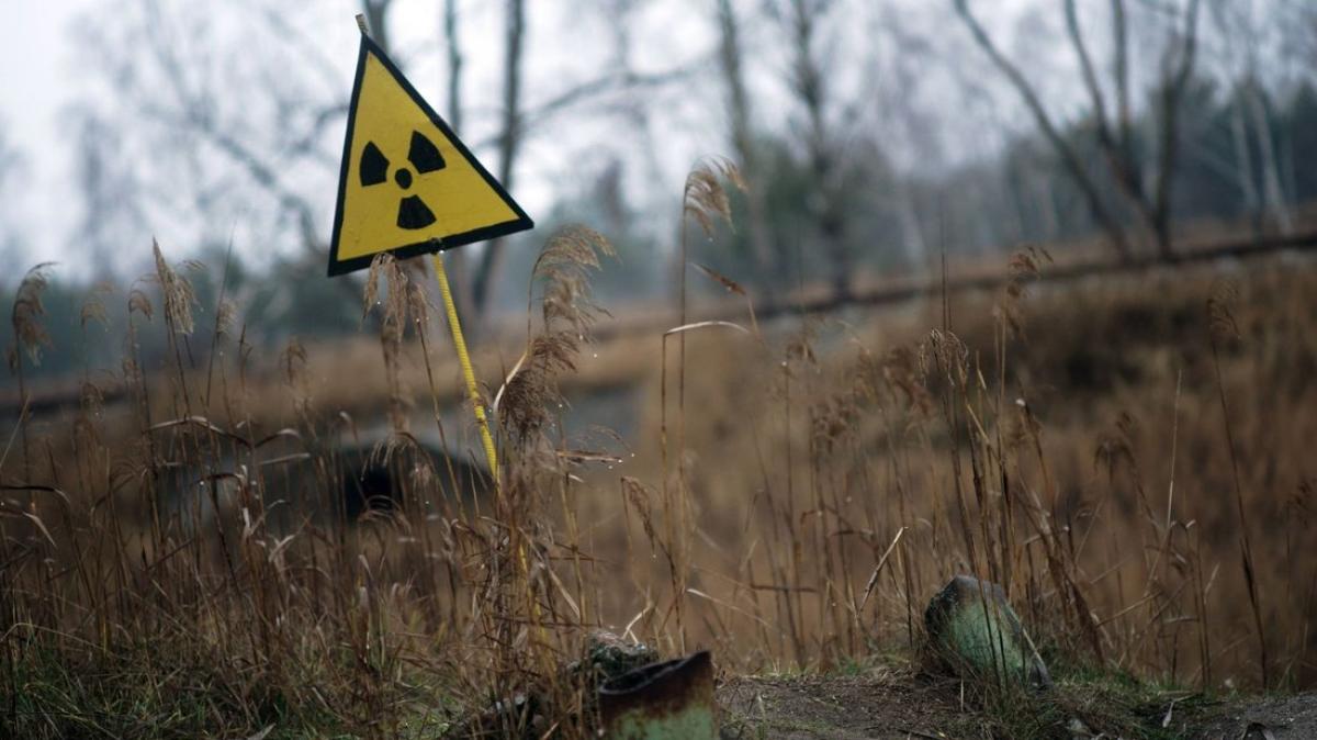 Schwarzer Pilz im Reaktor von Tschernobyl entdeckt