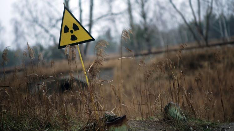 In Tschernobyl wächst ein mysteriöser Pilz. Foto: imago images/Ukrinform