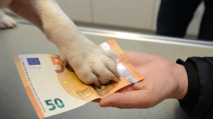 Eine Pauschale von 50 Euro fällt bei jedem Besuch des Notdienstes beim Tierarzt an. 