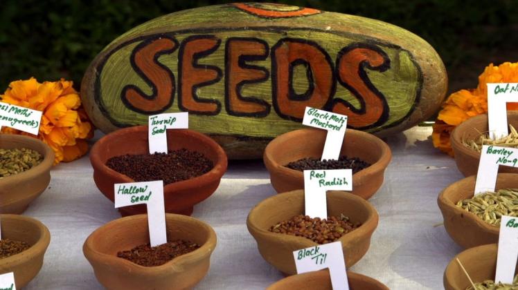 Saatgut ist wichtig für den Erhalt biologischer Vielfalt, zeigt der Film  Seed: The Untold Stoy. Foto: www.seedthemovie.com