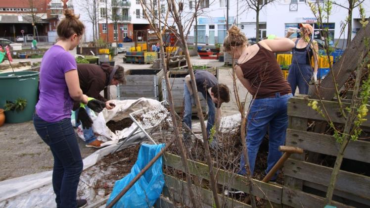 Pflanzenparadies statt Betonwüste: Mit dem Projekt "Ab geht die Lucie" wurde mit Urban Gardening ein Platz in Bremen wiederbelebt. Foto: Uta Bohls