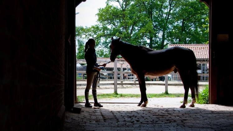 Die Topstars des Pferdesports verdienen mit Reiten ihren Lebensunterhalt. Foto: Hauke-Christian Dittrich/dpa
