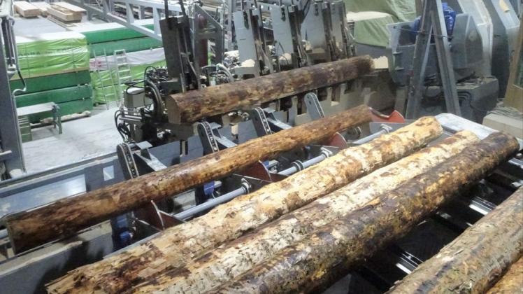 Zukünftig werden im neuen Haselünner Sägewerk auch dicke Stämme zerschnitten. Zukünftig werden im neuen Haselünner Sägewerk auch dicke Stämme zerschnitten.