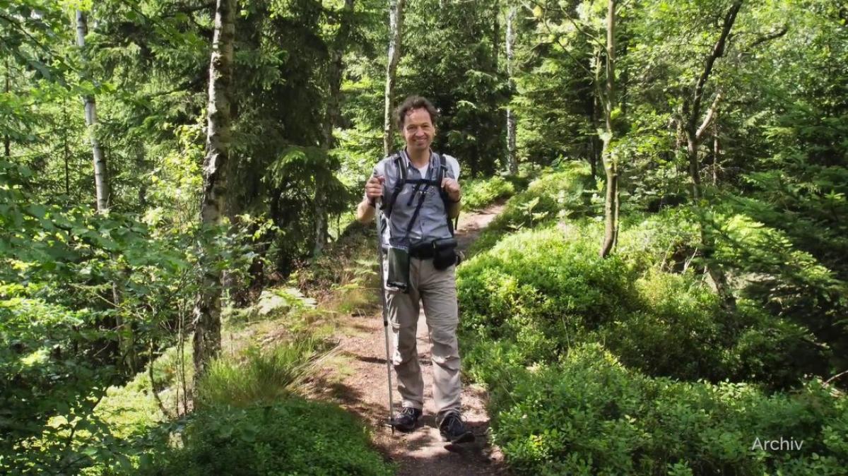 Spaziergangsforscher freut sich über coronabedingten Trend
