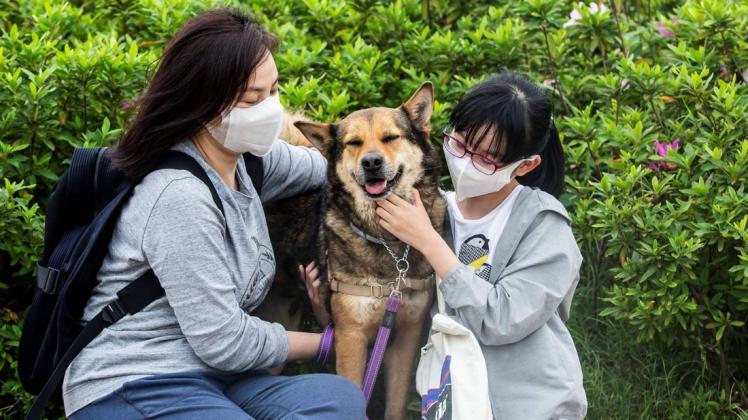 Auch viele Chinesen schätzen Hunde als Familienmitglied, anstatt als Delikatesse. Amy Tran (links) und ihre Tochter Serene Ho haben Pepper aus dem Tierheim in Hong Kong adoptiert. Foto: AFP/ISAAC LAWRENCE