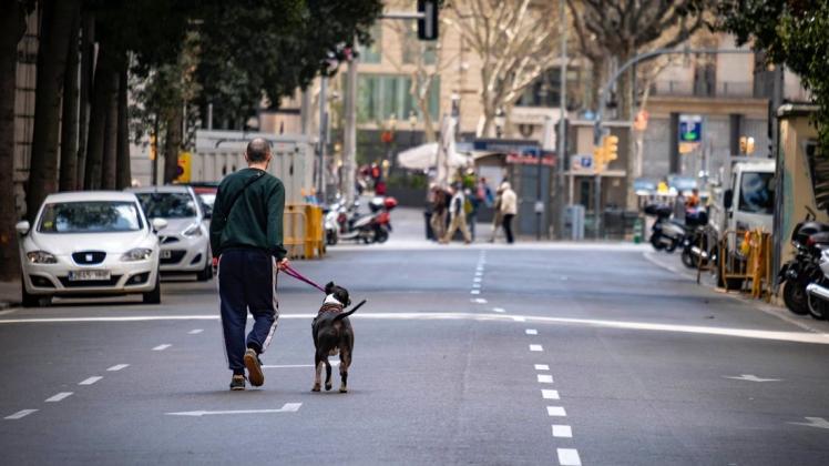 Strenge Ausgehsperre in Spanien: Nur Hundebesitzer dürfen mit ihren Vierbeinern Gassi gehen.